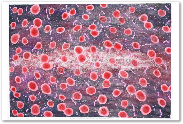 Buy Original Art Works from leading Contemporary Artist Stephen E Wise - Artwork Title : Bacteria-Masters of the Universe